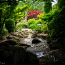 Ogród Japoński w parku Rheinaue